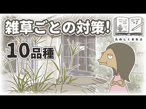 【たのしくまなぶ】うちの雑草はどの子？雑草ごとの性質と対策｜メヒシバ    ハマスゲ ヤブガラシ等10種類！