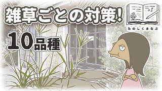 【たのしくまなぶ】うちの雑草はどの子？雑草ごとの性質と対策｜メヒシバ    ハマスゲ ヤブガラシ等10種類！