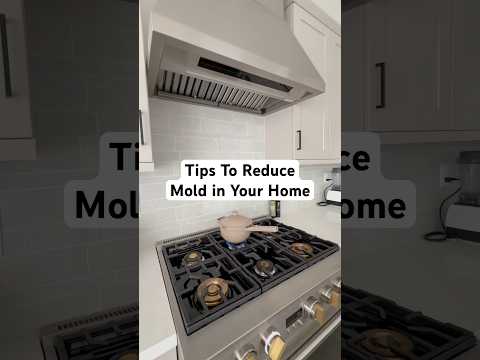 Tips To Reduce Mold and Toxic Air in Your Home