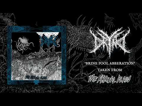 DRYAD - 'BRINE POOL ABERRATION' - OFFICIAL AUDIO