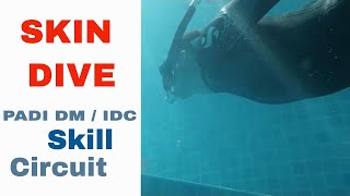 PADI Skill Circuit - Skin Dive Skill PADI IDC & Divemaster Skills Circuit