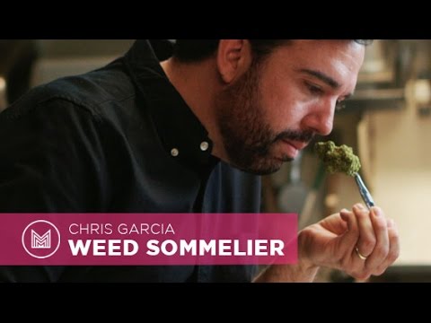 The Weed Sommelier