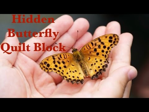 Block 5J Hidden Butterfly