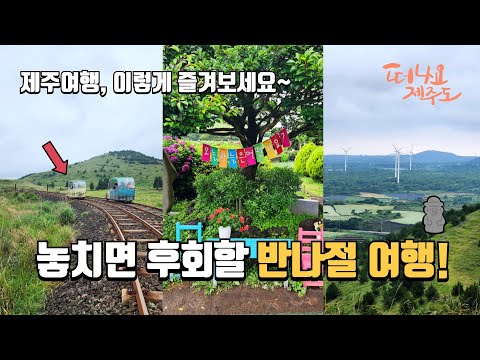 놓치면 후회할 반나절 제주 여행! 자연 속 숨겨진 매력! | 이색체험 | 쉽게 즐길 수 있는 오름 탐방 | 제주도여행 | 당일치기여행 | 국내여행