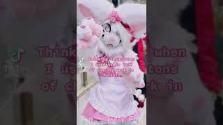 BEST Furry TikToks compilation 0422 #shorts #furrytiktok #furry #furrycompilation  #funnyvideo