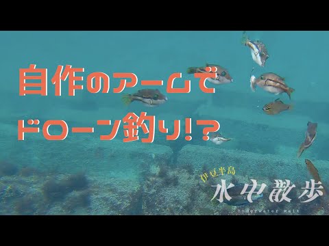 Drone fishing with self made arm !? Izu Peninsula underwater drone image