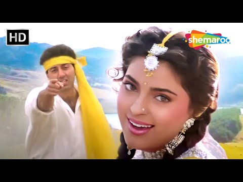 Mere Dil Pe Tune Dale Hai Dere O Lootere | Lootere(1993) | Sunny Deol | Juhi Chawla Hits | Love Song