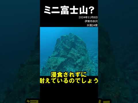 溶岩でできたミニ富士山　#伊豆 #水中映像 #溶岩 #海底