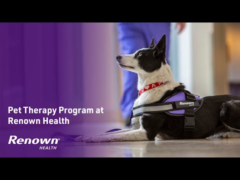 Renown Health Pet Therapy Program