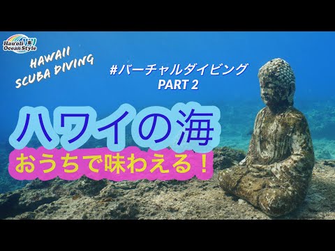 【ロックダウン中のハワイの海】西オアフ島の海の中、ご案内します！透明度バツグン！ダイビング・シュノーケリング必見！Scuba Diving in West Side of OAHU