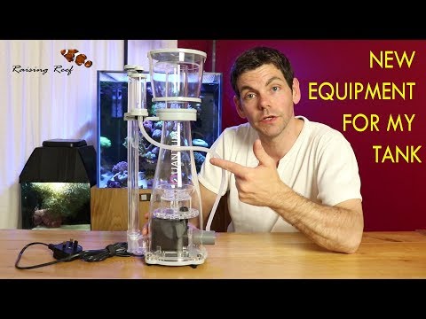 raising reef tank build eps 3 NEW skimmer and return pump