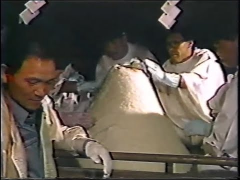 飯の山だんじり 1986