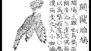 關雎 Cry of the Ospreys (1491 浙音釋字琴譜）唐世璋打譜、彈絲絃古琴 John Thompson plays on Song dynasty silk string guqin