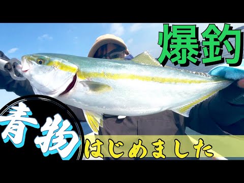 【嫁vs青物】大型青物回遊中!!今が熱い葉山手漕ぎボート〜前編〜