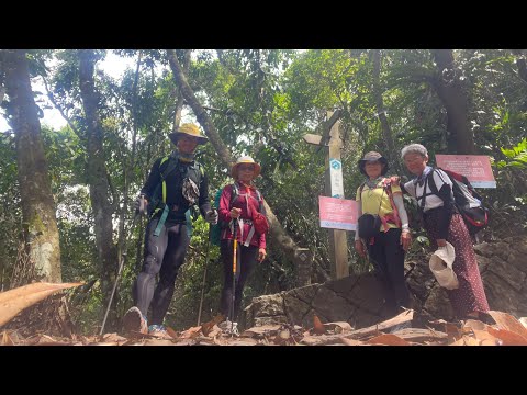 20240422剖地瓜Part II:D7山美部落-達娜伊谷-里美避難步道-巨石板步道-里加