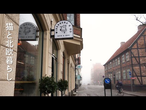 Scandinavian life 🌿 Shopping on a foggy day / Swedish outdoor shop / Cinnamon rolls