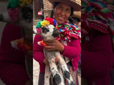 Cusco, Peru #travel #peru #shorts #short #cusco