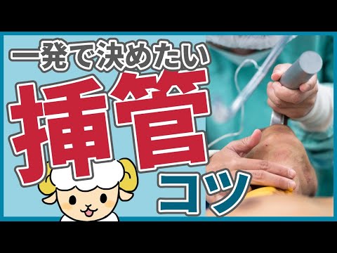 【分かりやすい】気管挿管の手順を実演で解説