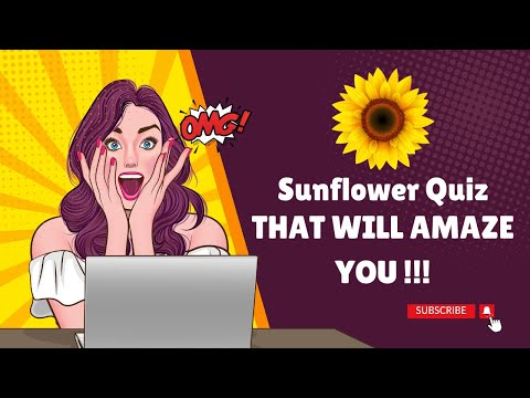 Test Your Knowledge: Sunflower Symbolism and Meaning