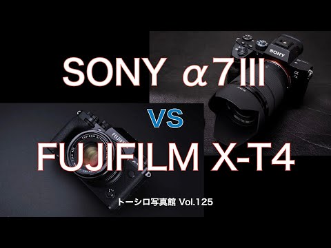 【どっちがいい！？】FUJIFILM X-T4  vs  SONY α7Ⅲ ！！