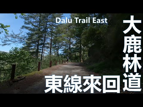 2022 夏 大鹿林道東線 輕鬆騎 mtb Dalu Trail  East