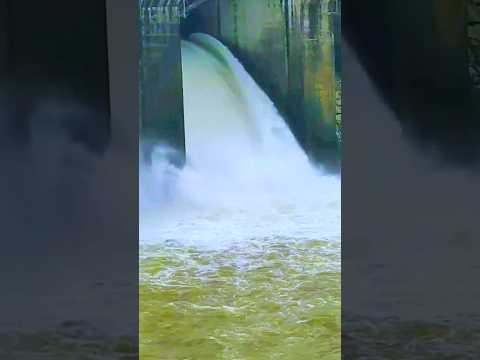 Machagora Dam | #shorts #flood #viralvideo