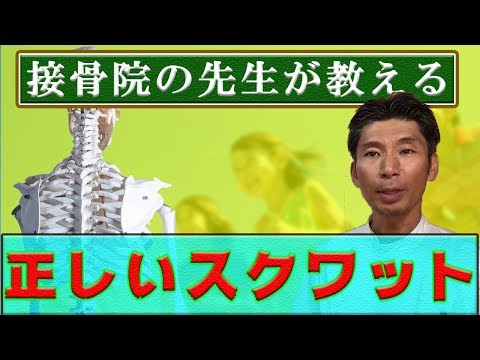 腰痛、ひざ痛、股関節のリハビリになるスクワット方法。簡単で効果のある自重トレーニング【運動法】