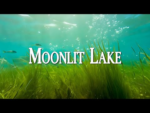 Moonlit Lake - Dream Soul