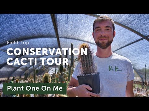 Prickly Prospects CACTI & SUCCULENT Nursery Tour — Ep. 326