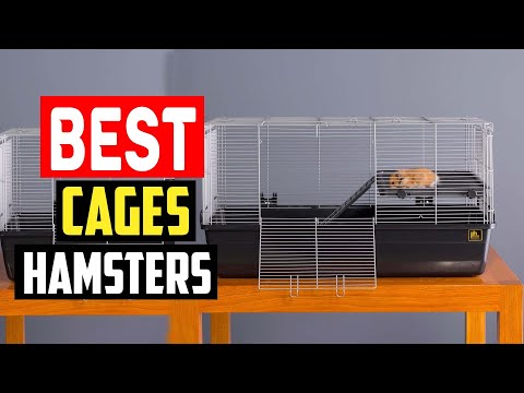 ✅Best Cages for Hamsters in 2023