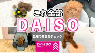 【Daiso購入品】即買い！トイプードル子犬が気に入るおもちゃ