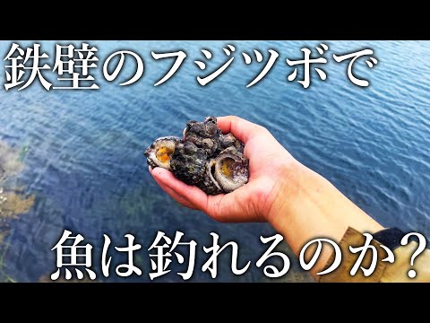 鉄壁の石灰をまとったフジツボで魚は釣れるのか？現地採取して調査してみた