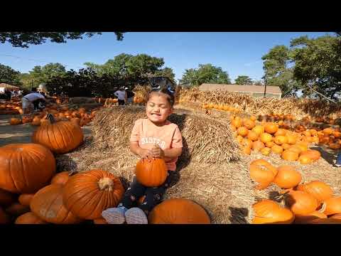 My numkins with their pumpkins!#pumpkings #daughters #pictures #foryou