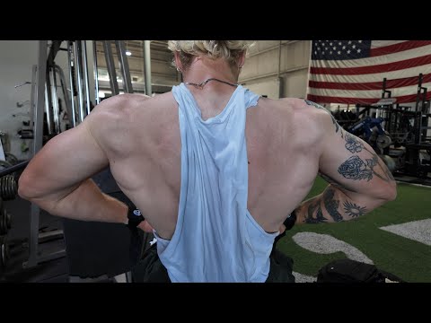 AVERAGE JOE BACK DAY