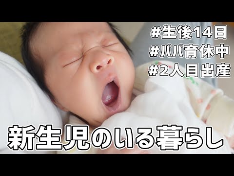 【新生児】赤ちゃんと過ごす1日。産後パパ育休ってぶっちゃけどう？？【里帰りなし/生後14日/2人目出産】