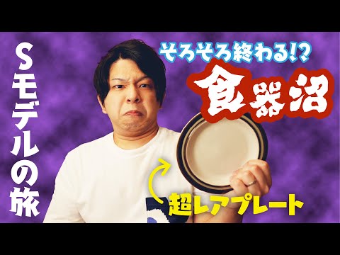 【やっぱりあった】アラビアSモデルのコンプリート目指して【食器沼】