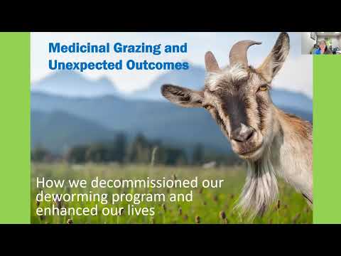 Medicinal Grazing and Unexpected Outcomes