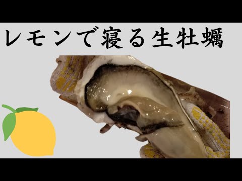 【おうち居酒屋】レモンで寝る生牡蠣