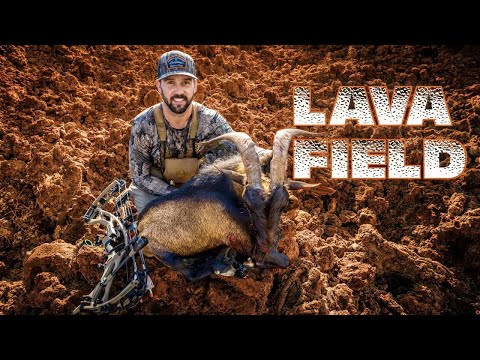 BOWHUNTING a LAVA FIELD in HAWAII!! GOAT Catch n’ Cook