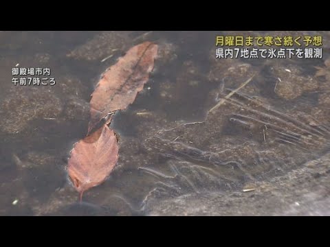 ２０日朝静岡県内冷え込み強まり７地点で氷点下　今シーズン一番の寒さに