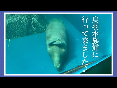 【鳥羽水族館】鳥羽水族館で『セイウチ』『アシカ』『ペンギン』ショー見て来ました♪