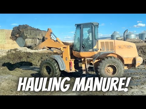 Let’s Haul Some Manure!