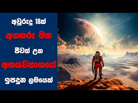 “The Space Between Us" සිංහල Movie Review | Ending Explained Sinhala | Sinhala Movie Review