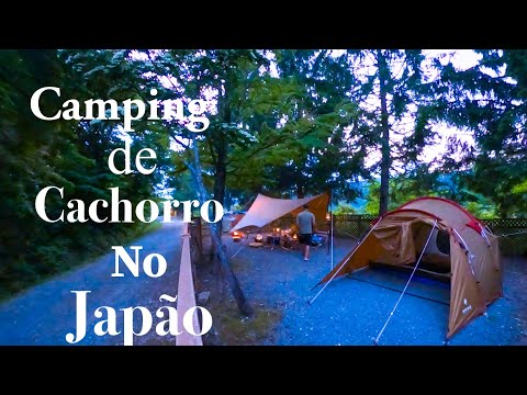 VIDA NO JAPÃO 🇯🇵 VLOG NOSSO PRIMEIRO ACAMPAMENTO 2024 #camping #snowpeak #shortvideo  #floresta