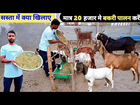 कम खर्च में बकरी पालन कैसे करें | small goat shed design | bamboo goat farm shed