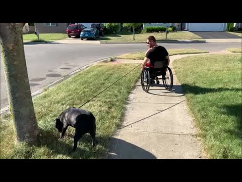 How I Shortened a Retractable Leash for our New Dog!