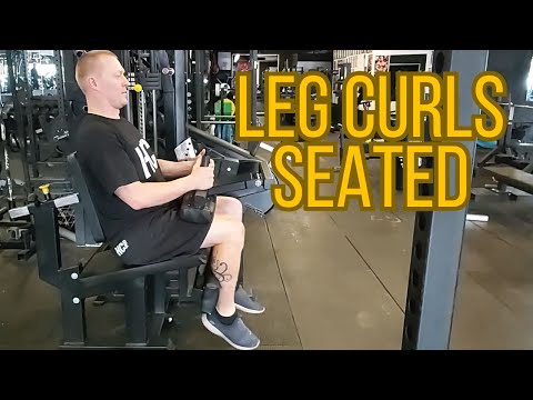 Leg Curls Seated /Gladiator Training Program