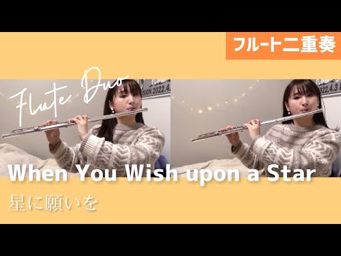 【フルート二重奏】星に願いを（When You Wish Upon A Star/Flute Duo）