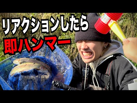 巨大魚だらけの川で"ノーリアクションがさがさ"が面白すぎたwwwww