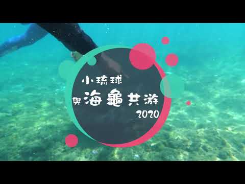 小琉球與海龜共遊＿2020